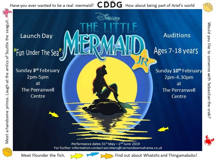 Little Mermaid Flyer